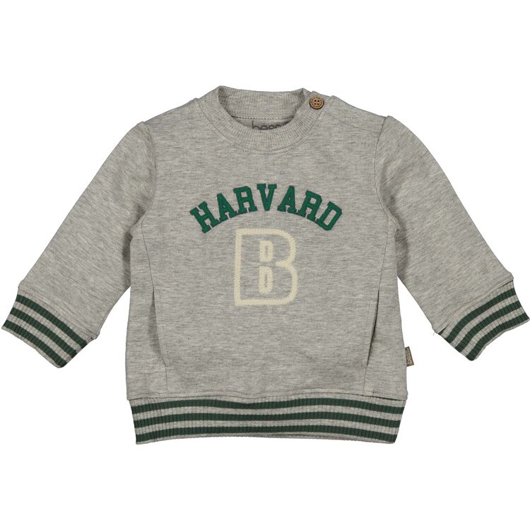BESS Sweater Harvard 252080-099