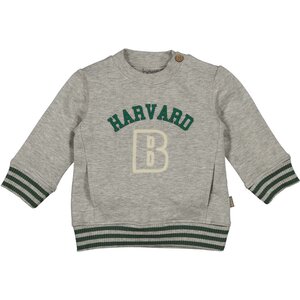 BESS Sweater Harvard 252080-099