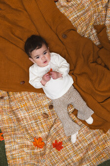 Quapi Pants - QNBW25KRIS