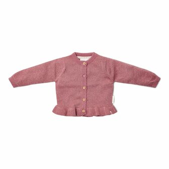 Little Dutch Gebreid vestje Rouge
