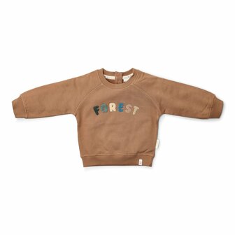 Little Dutch Trui Brown