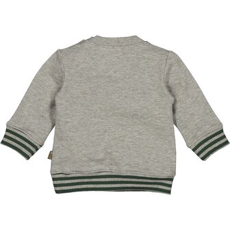 BESS Sweater Harvard 252080-099