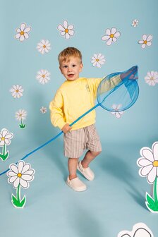 Quapi Pants - QS261ELROY Cream