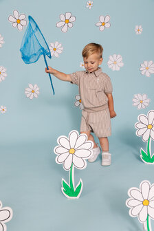 Quapi Pants - QS261ELROY Cream