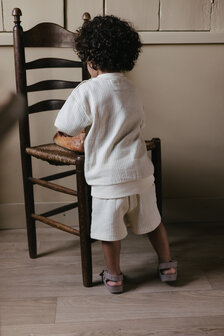 Levv Pants - LS262BRUUN