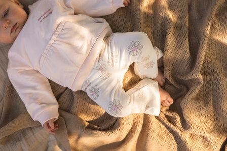 Quapi Pants - QNBS26LOTHUS