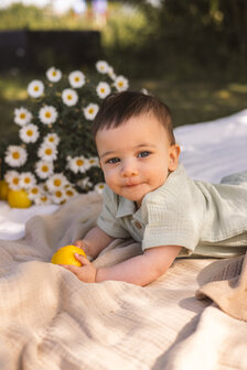 Quapi Shirt - QNBS26LIAM