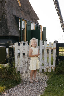 Levv Dress - LS263BECKY