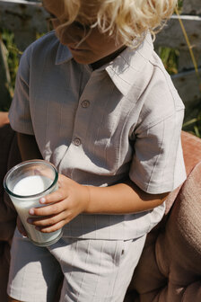 Levv Shirt - LS263BRENT