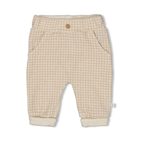 Feetje Broek ruit - Picnic Party 52202291