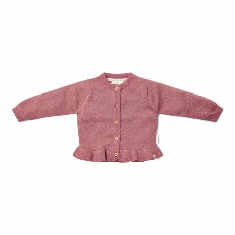 Little Dutch Gebreid vestje Rouge