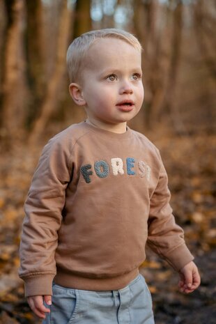 Little Dutch Trui Brown