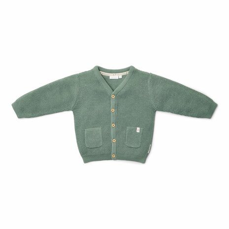 Little Dutch Gebreid vest Forest Green