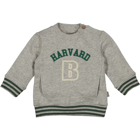 BESS Sweater Harvard 252080-099