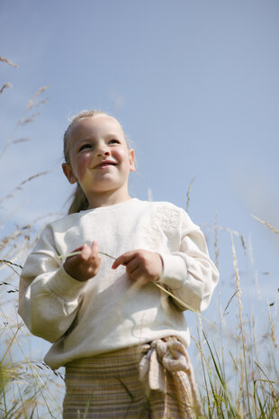 Levv Sweater - LS261BINNY