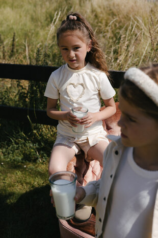 Levv Shirt - LS262BELLE