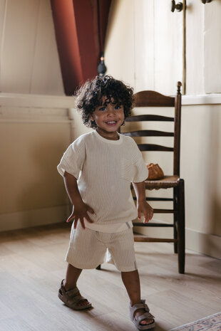 Levv Shirt - LS262BENICO