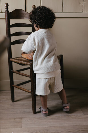 Levv Shirt - LS262BENICO