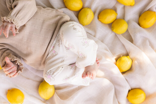 Quapi Pants - QNBS26LOTHUS