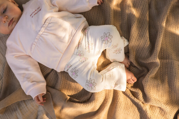 Quapi Pants - QNBS26LOTHUS