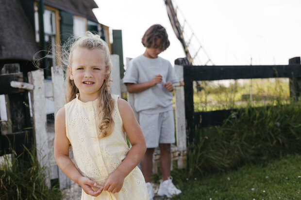 Levv Dress - LS263BECKY