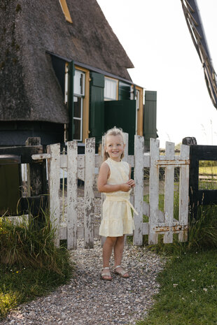 Levv Dress - LS263BECKY