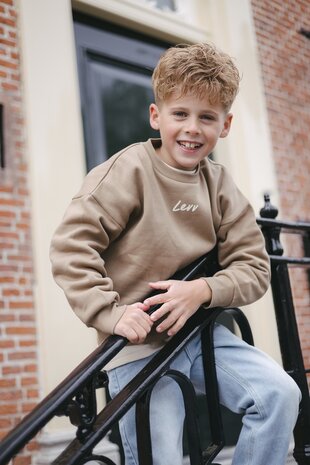 Levv Sweater - LW261DAVID