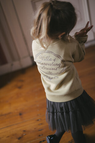 Levv Sweater - LW262DANTE