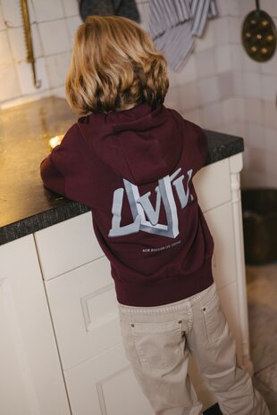Levv Sweater - LW263DENVER