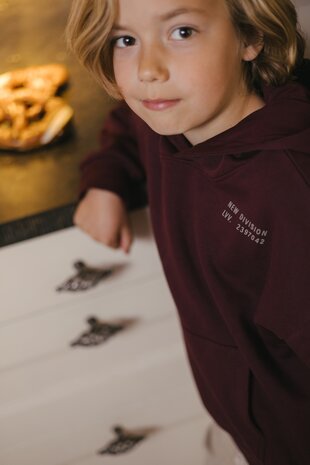 Levv Sweater - LW263DENVER