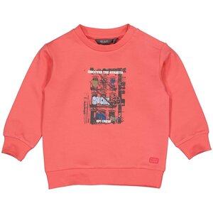 Quapi Sweater - QS252MARLON